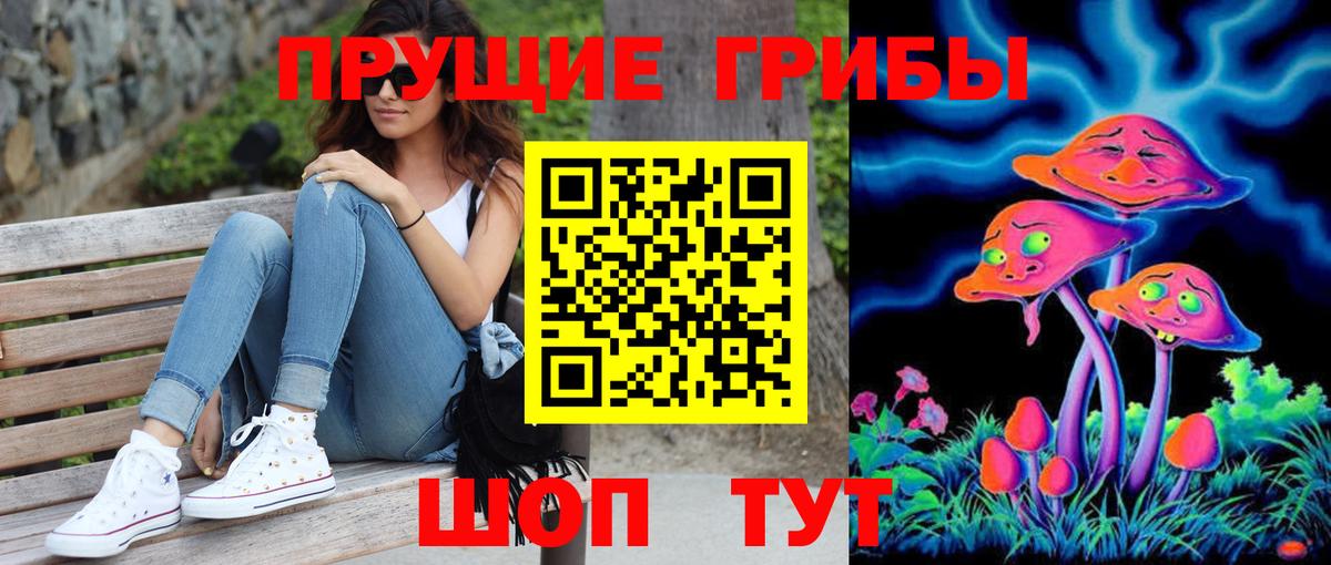 Галлюциногенные грибы Psilocybine cubensis Пушкино