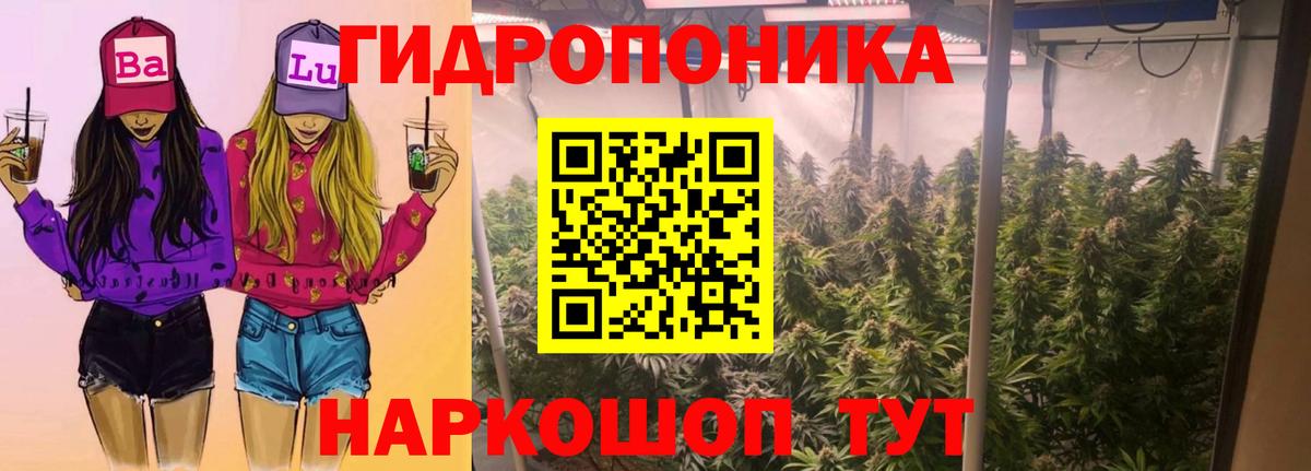 Шишки марихуана AK-47  Вход с VPN  Пушкино  Шишки марихуана Bruce Banner 